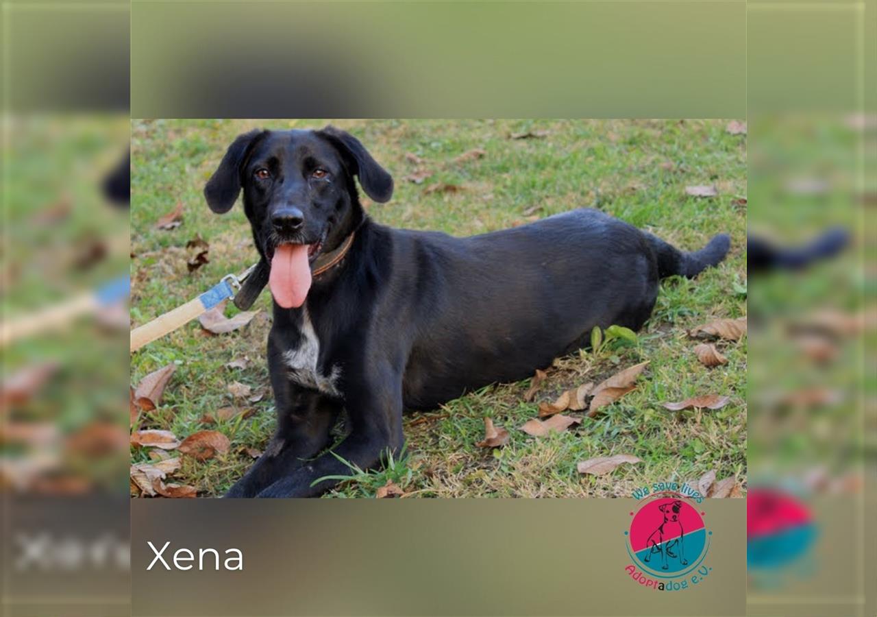 Xena: Eine Freundin für die ganze Familie