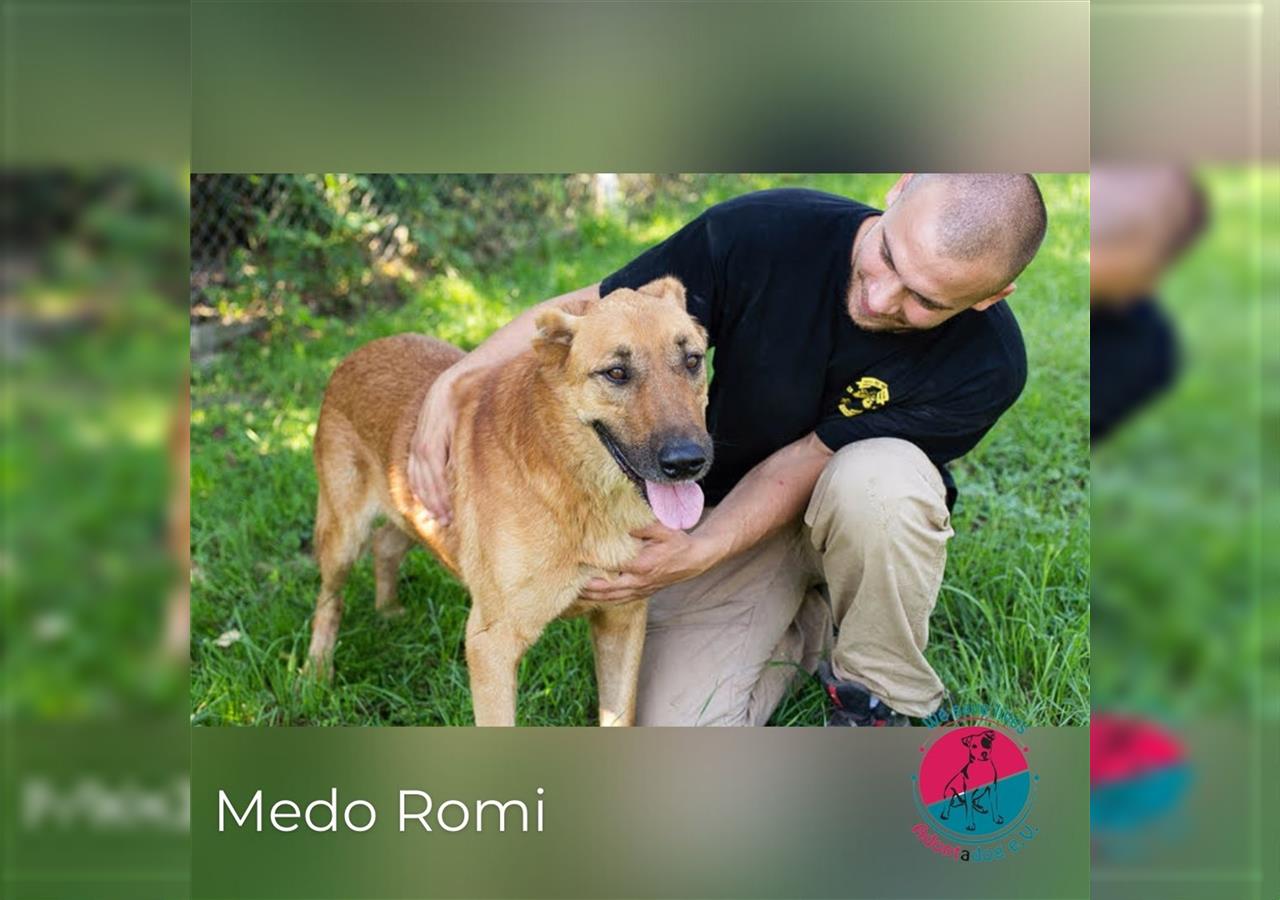Medo Romi – Probiers mal mit Gemütlichkeit!