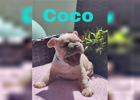 Coco (reserviert)
