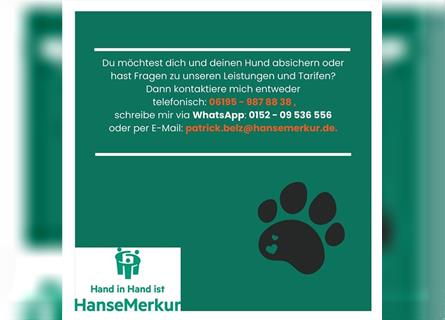 HanseMerkur  Hunde Krankenversicherung inklusive OP Abdeckung