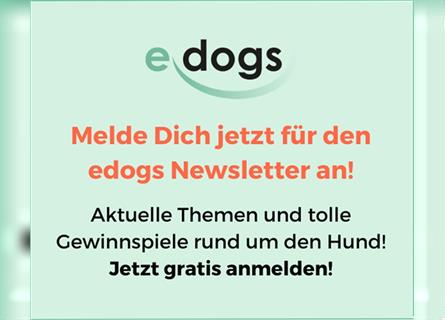 Alle Tipps rund um den Hund nur im edogs Newsletter