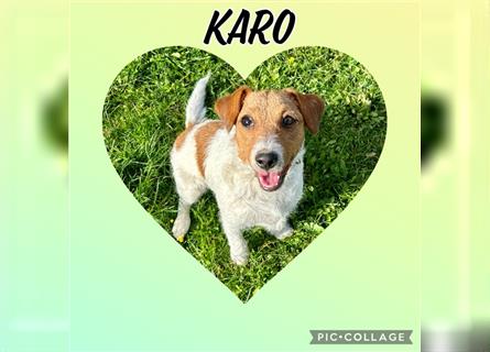 Karo sucht noch ein liebevolles Zuhause