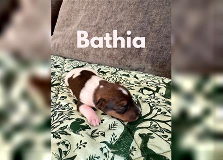 Bathia