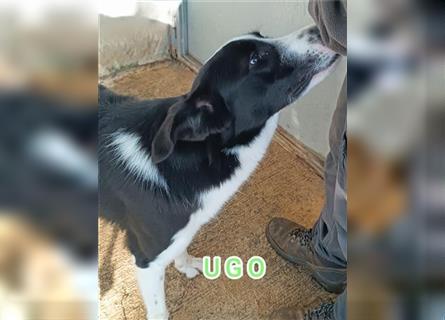 Ugo- ein Schatz für die ganze Familie