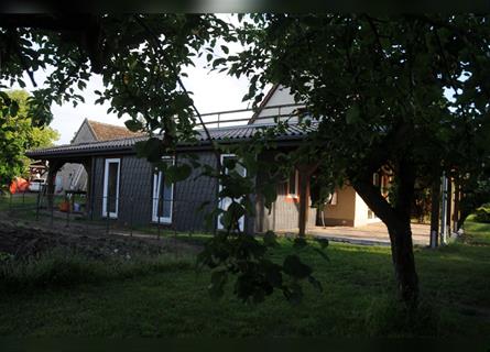 Ein Fest der Farben - Bolonka Zwetna Welpen - lustige Gesellen im Landhaus mit Garten am See