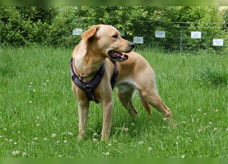 Bugs Buddy - Naturfreak sucht Gleichgesinnte - Tierhilfe Franken e.V.