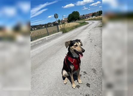 Polly  in der Nähe von Karlsruhe zu besuchen