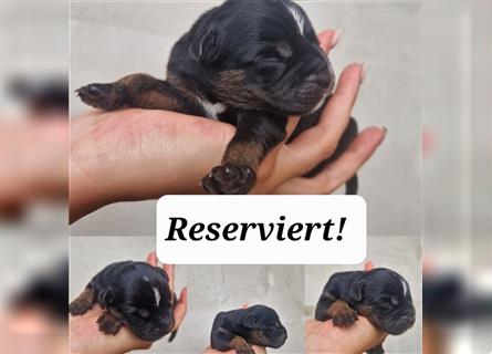 RESERVIERT!