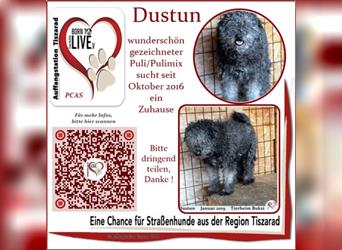 Dustun