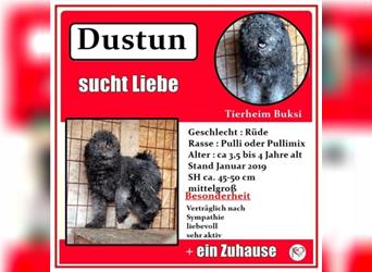 Dustun