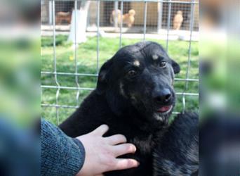 Lola, seit 7 Jahren hinter Gittern