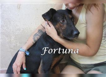 Fortuna, 10/17; (ES) träumt von einem Zuhause
