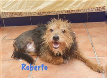Roberto 08/19 (DE) - sucht geduldige und einfühlsame Familie