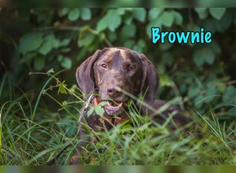 Brownie 03/20 (RUS) - kinderlieber Sportpartner