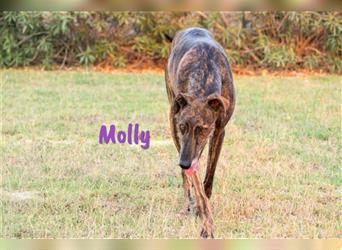 Molly 01/18 (ES) - zärtlich und verspielt