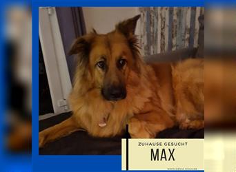 Max wunderschön und freundlich