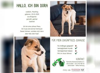 Dora lebt bei einer Pflegefamilie in Hessen