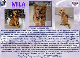 MILA sucht eine liebe Familie