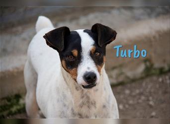 Turbo 05/17 (ES) - aktiv und liebevoll