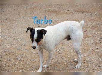 Turbo 05/17 (ES) - aktiv und liebevoll