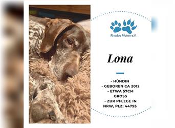 Lona sucht ihr zu Hause! ❤️