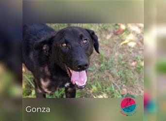 Gonza – Bewegungsmotivator sucht Menschennähe