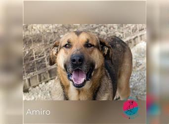 Amiro - Von einem Leben im Käfig in ein richtiges Zuhause