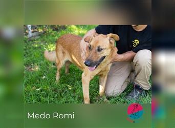 Medo Romi - Auf der Suche nach seinen Menschen