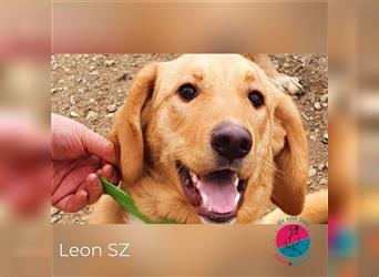 Leon – Auf der Suche nach seinen Menschen