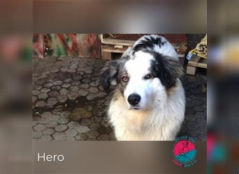 Hero –  braucht selbst einen Superhelden