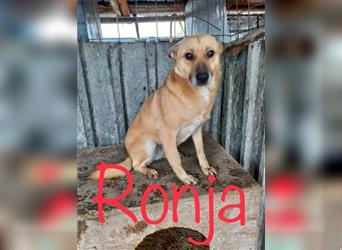 Unsere tolle Ronja