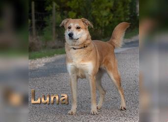 Luna, ein klasse Mädchen!