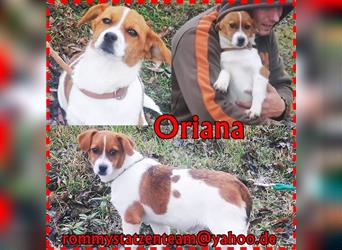 Oriana hat ein offenes, freundliches Wesen