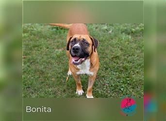 Wird Bonita deine neue Wegbegleiterin?