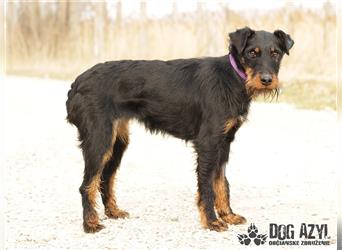 Olga - ein Juwel für erfahrene Hundehalter