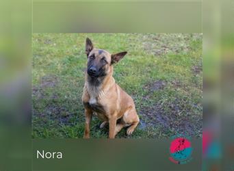 Erlaubst du Nora Freude und Lachen in dein Leben zu bringen?