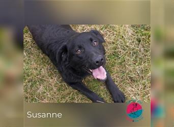 Susanne- Ein treues Hundeherz voller Liebe