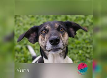 Yuna – stets an deiner Seite!