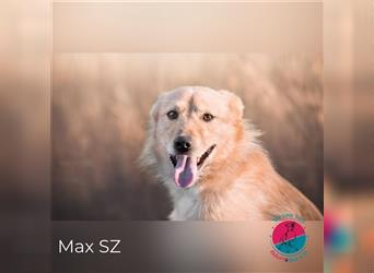 Max - sucht Wanderpartner für lebenslange Abenteuer