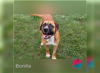 Wird Bonita deine neue Wegbegleiterin?