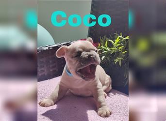 Coco (reserviert)