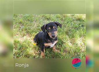 Ronja – Sausewind will spielen und lernen