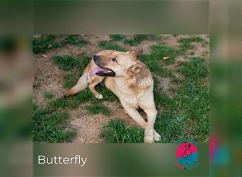 Butterfly – Bereit für die Metamorphose
