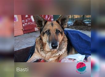 Basti – Auf der Suche nach einem Alterssitz