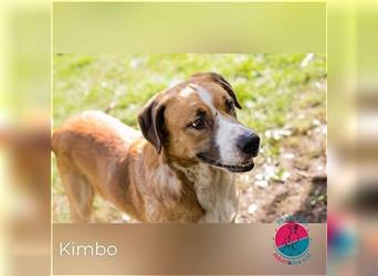 Kimbo – Bereit für einen Neuanfang