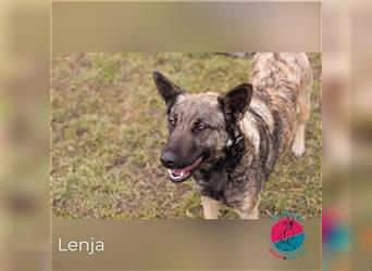 Lenja sucht eine neue Familie!
