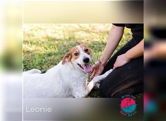 Leonie – aufgeweckte Jungmama sucht eigenes Körbchen