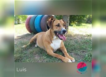 Luis - der Allrounder für die ganze Familie (plus Hundekumpels)