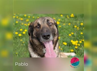Pablo – Die Familie liegt ihm am Herzen!