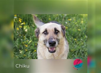 Chiku – Entspannt, entspannter, Chiku!